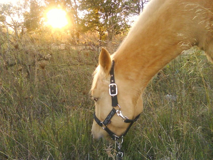 Photo de profil de loveuse66