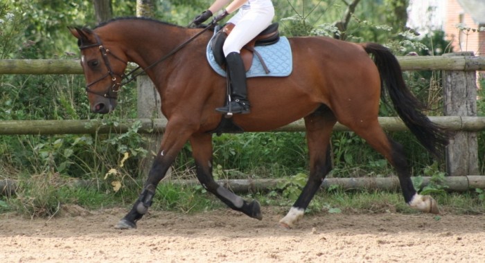 Photo de profil de anabaa