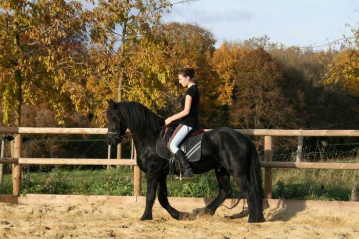 Photo de profil de linecala