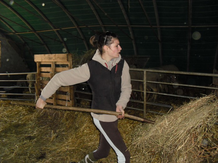 Photo de profil de fouine07