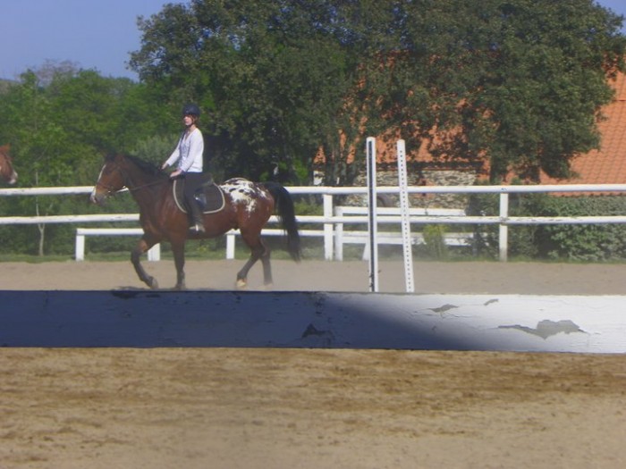 Photo de profil de pharaondu85