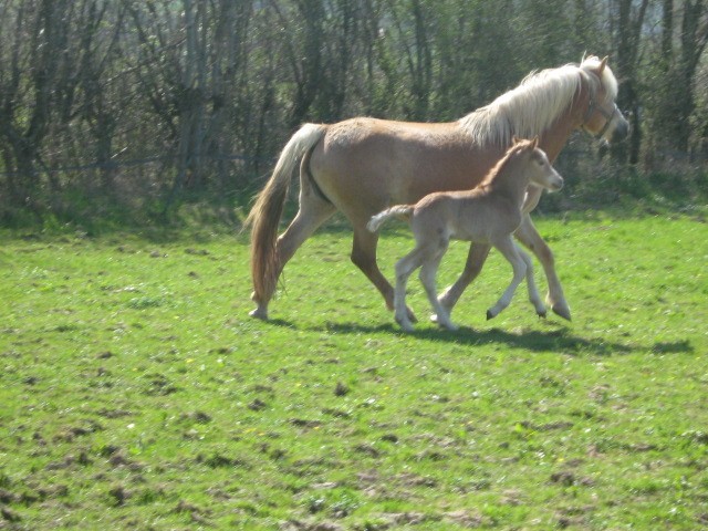 Photo de profil de bree