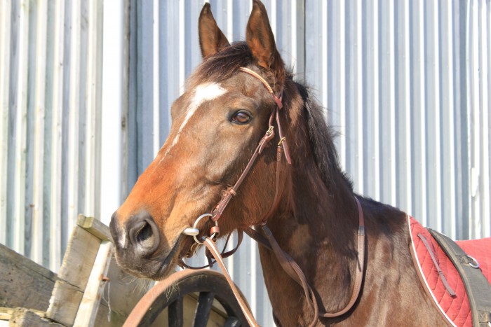 Photo de profil de douma29