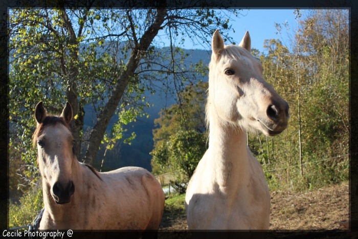 Photo de profil de cecile74