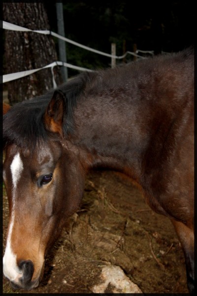 Photo de profil de celia-titeux