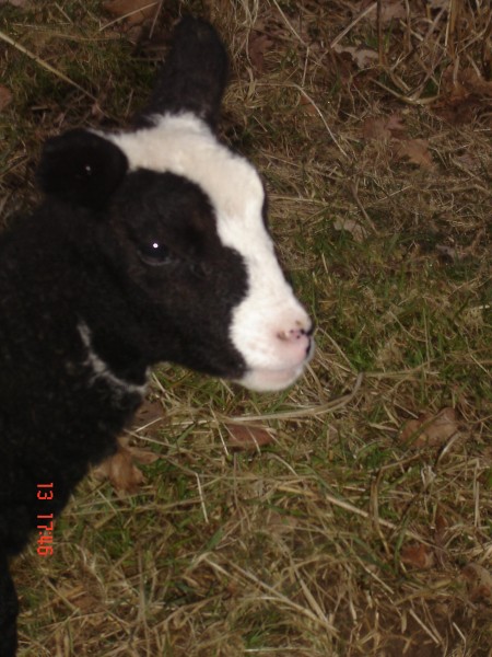 Photo de profil de noomi