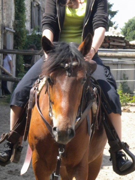 Photo de profil de sandrinetang