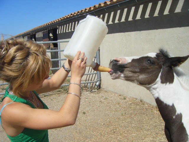 Photo de profil de gaelle07