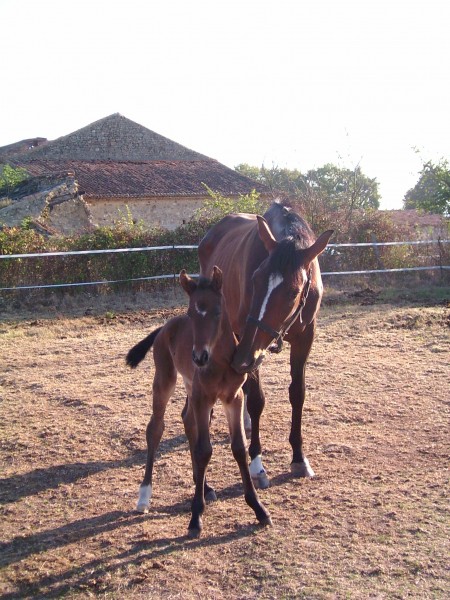 Photo de profil de patouguy