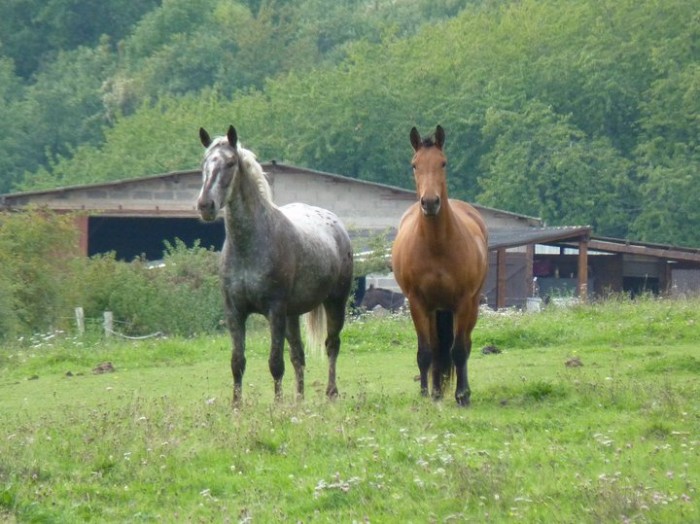 Photo de profil de sandyyy57