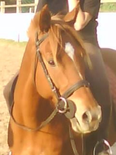 Photo de profil de caro1221