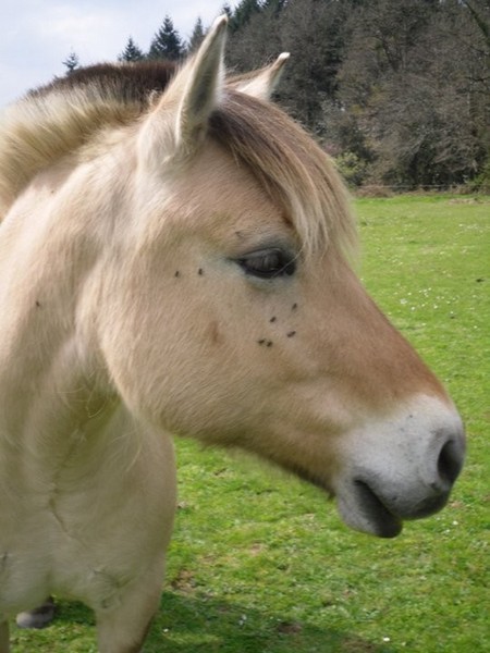 Photo de profil de mailler