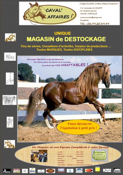 Photo de profil de cavalaffaires