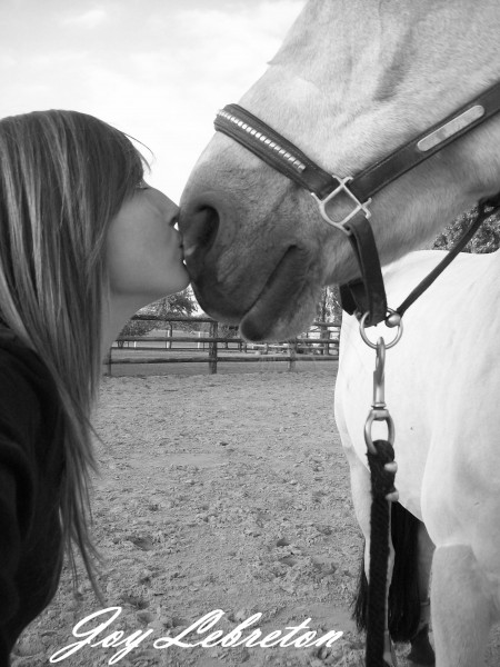 Photo de profil de nocturne