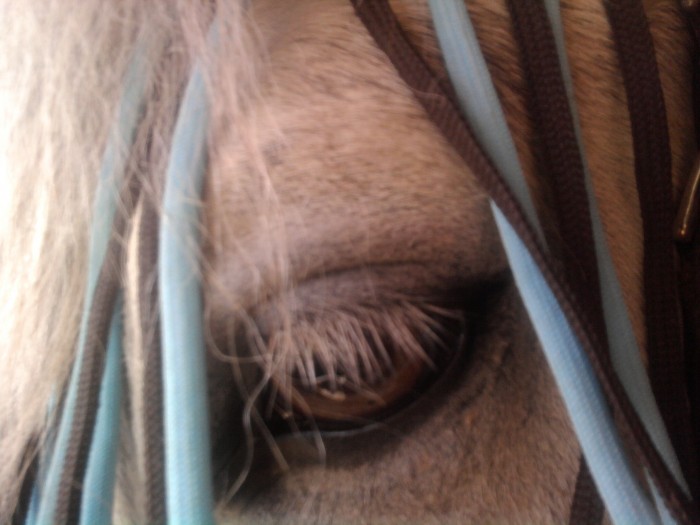 Photo de profil de tico64
