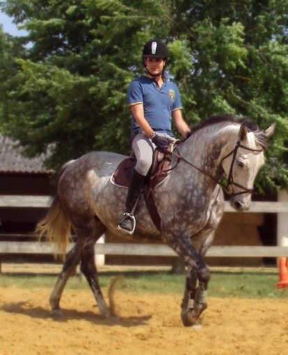 Photo de profil de robynmarouillet