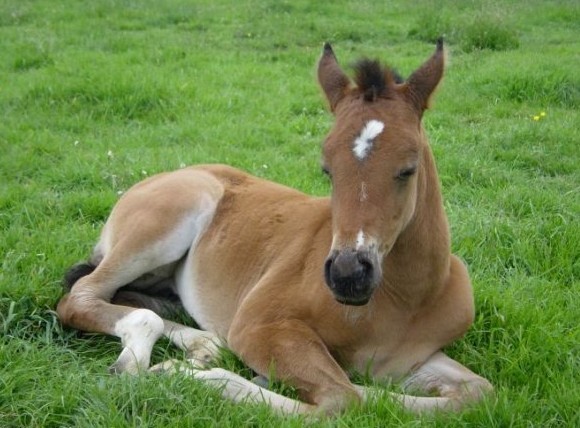 Photo de profil de sayari