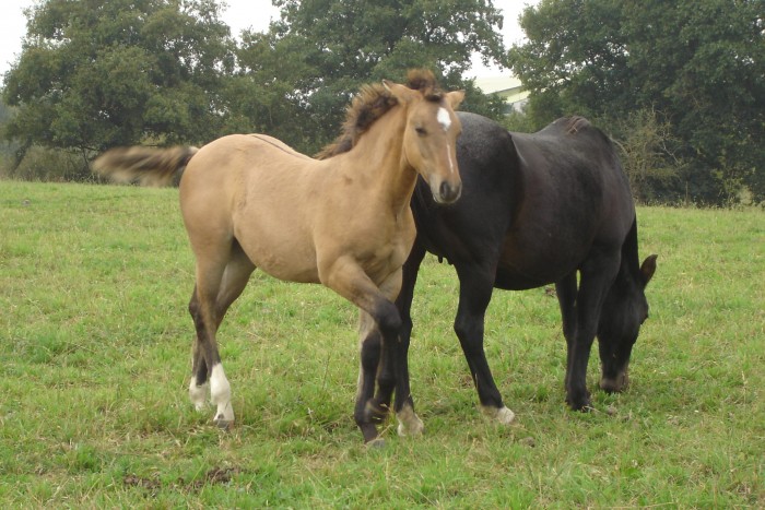 Photo de profil de mariannet