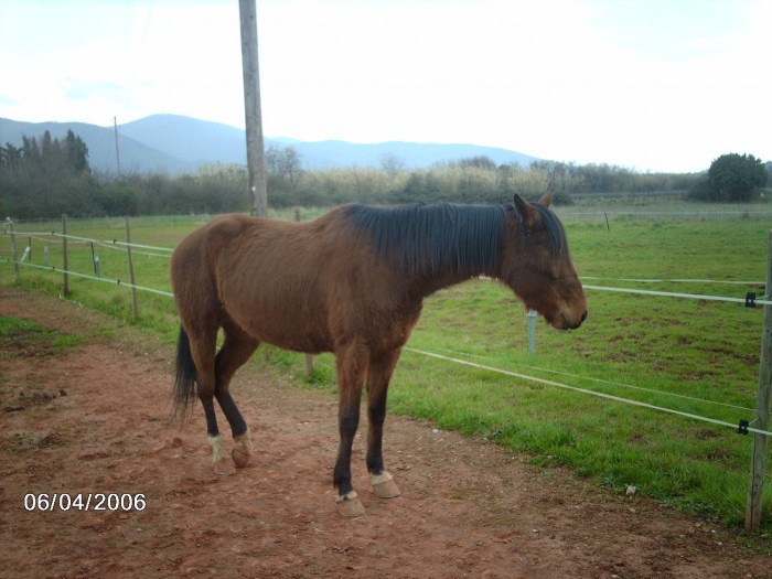 Photo de profil de flut83