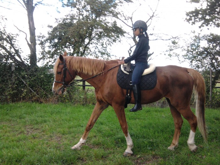 Photo de profil de helenahorse
