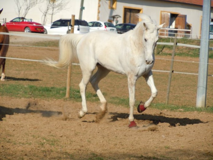 Photo de profil de shira