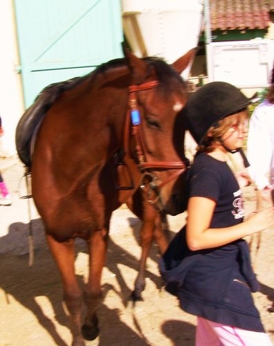 Photo de profil de ozo0780