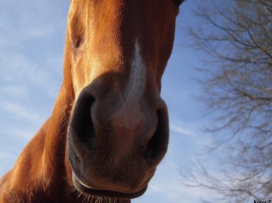 Photo de profil de lisadu46130