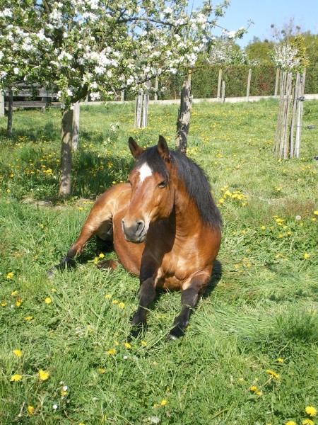 Photo de profil de glf22