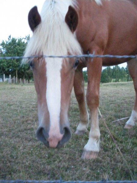 Photo de profil de caradamour