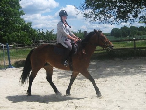 Photo de profil de xrandk