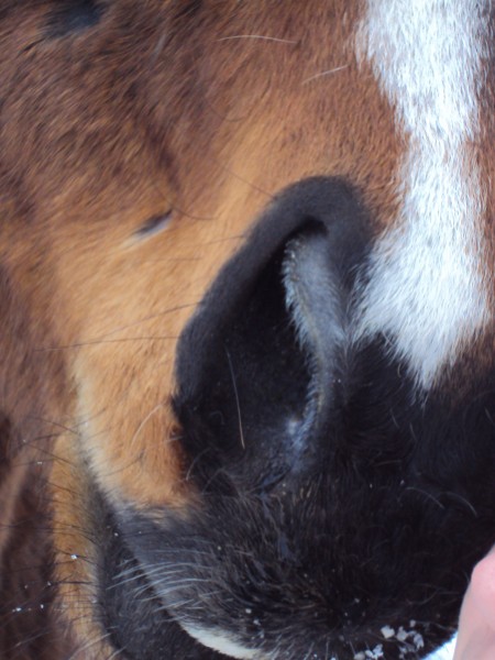 Photo de profil de liebig57