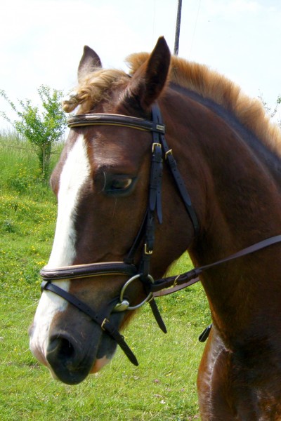 Photo de profil de johnnyx