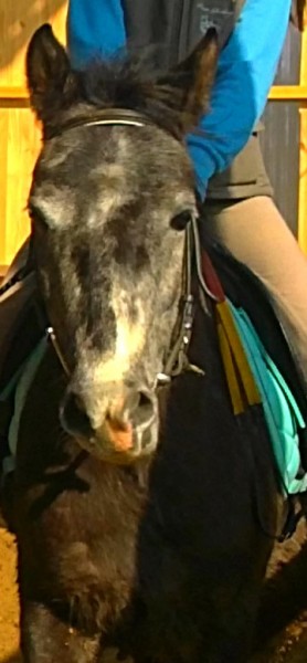 Photo de profil de estella91