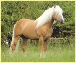 Photo de profil de lolok