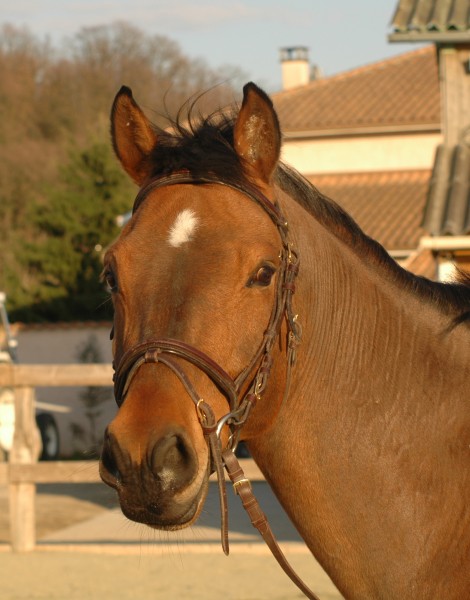 Photo de profil de nolunn38