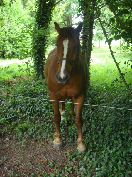 Photo de profil de merveil