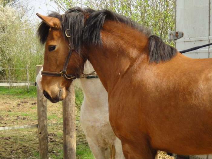 Photo de profil de r.lyson
