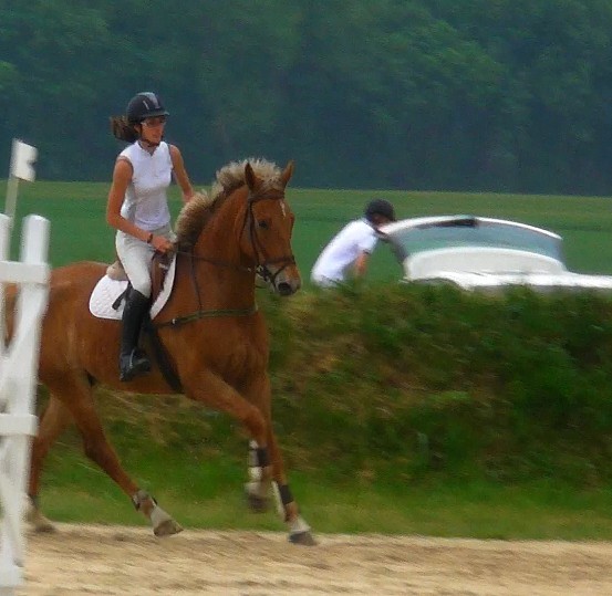 Photo de profil de jumpstar