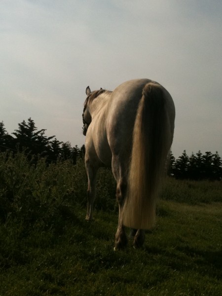 Photo de profil de sarvane