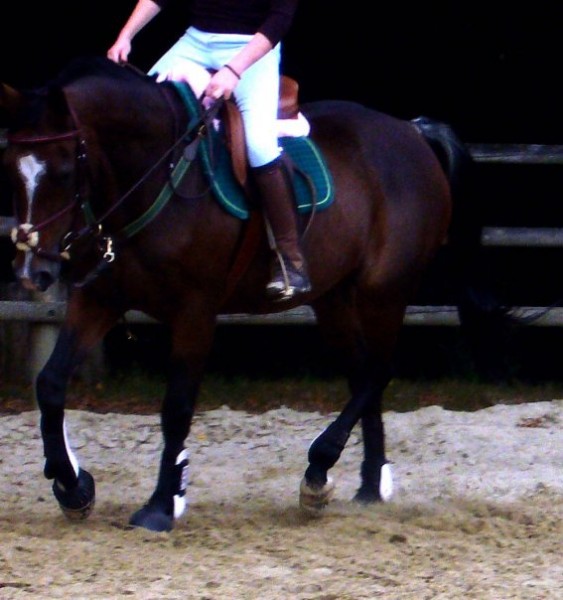 Photo de profil de pinupblue