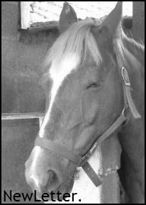 Photo de profil de mlleshaa