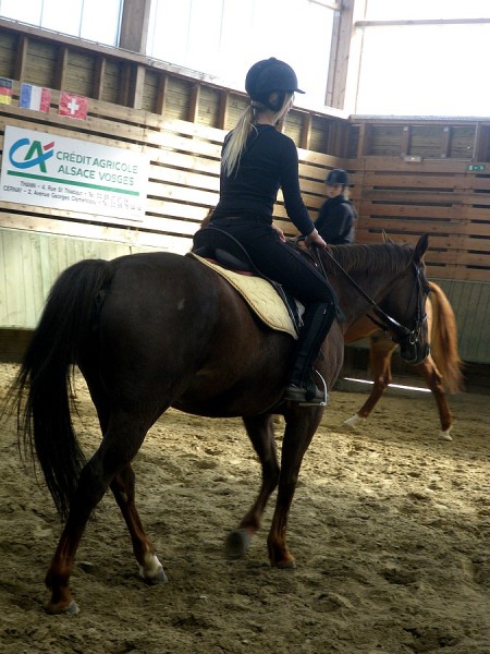 Photo de profil de chellyy