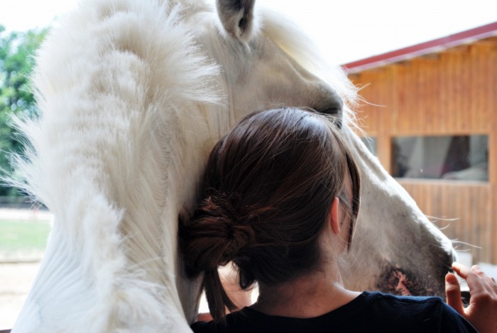 Photo de profil de ambrym