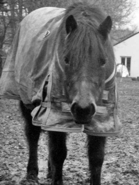 Photo de profil de taigaa