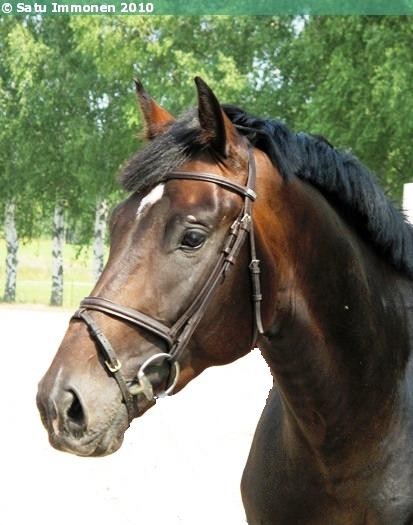 Photo de profil de satu66