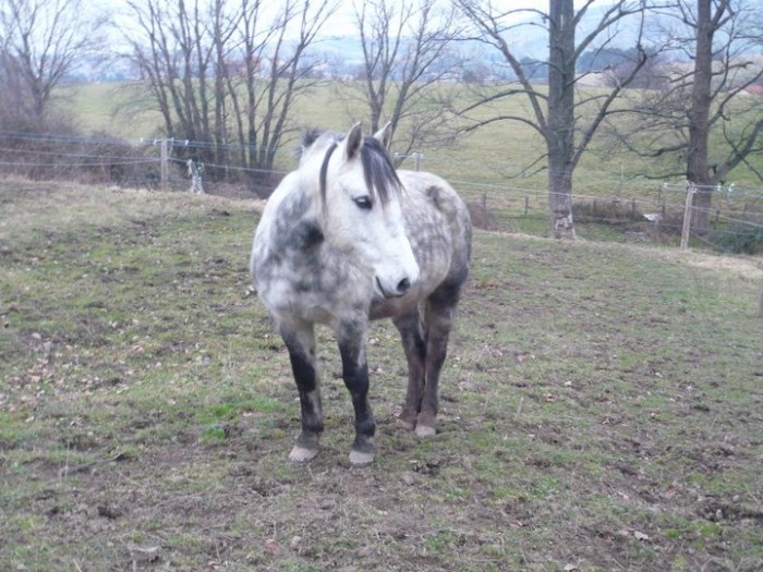 Photo de profil de chizy