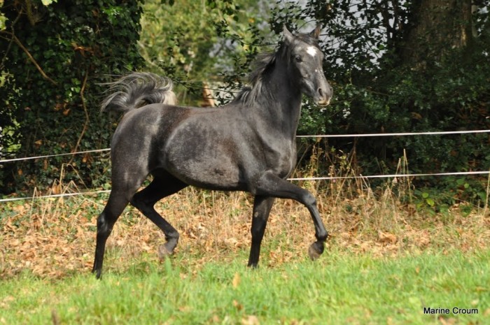 Photo de profil de typitou