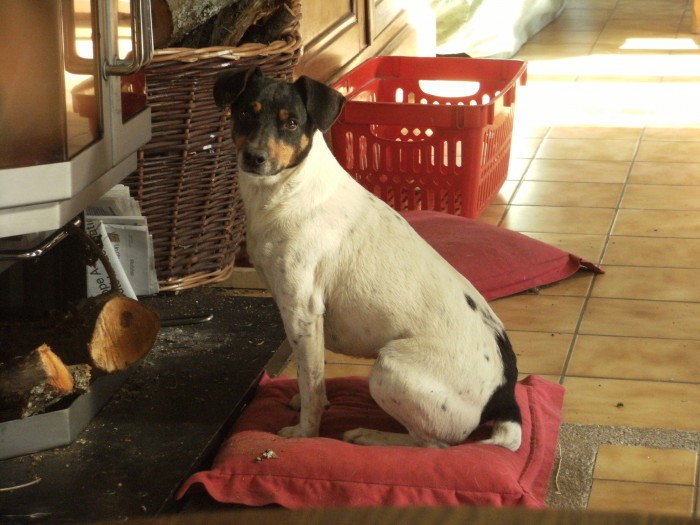 Photo de profil de melappy