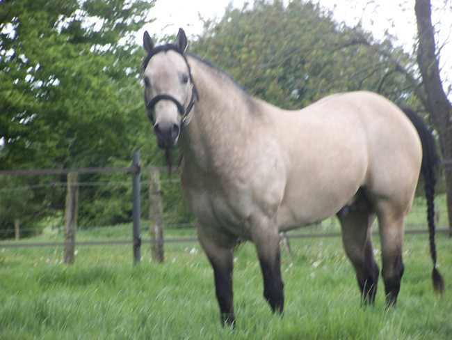 Photo de profil de greenmeadow