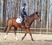 Photo de profil de tornado62